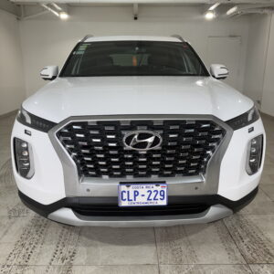 HYUNDAI PALISADE 2020 CLP229