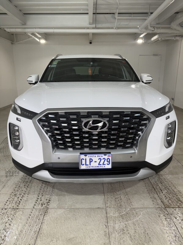 HYUNDAI PALISADE 2020 CLP229