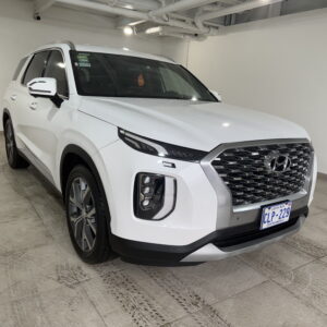 Alternative view of HYUNDAI PALISADE 2020 CLP229