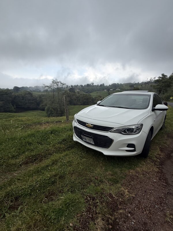 CHEVROLET CAVALIER PREMIER 2018 BQR771