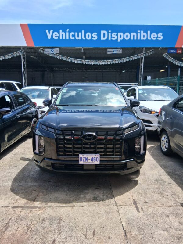 HYUNDAI PALISADE 2024 BZN460