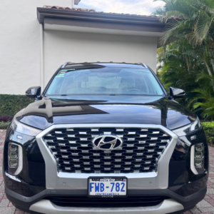SUV HYUNDAI Palisades