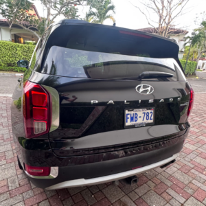 Alternative view of SUV HYUNDAI Palisades