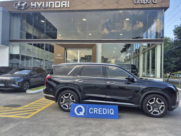 HYUNDAI PALISADE 777KPG