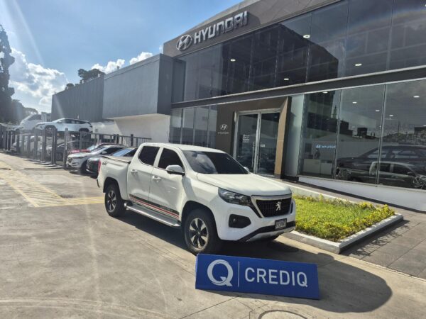 Peugeot Landtrek P919KRT - Imagen 6