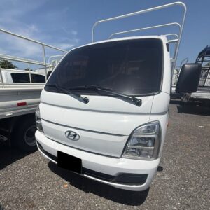 HYUNDAI H100 BLANCO 2024 BARANDAL